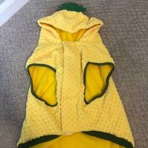 Hide and Eek-Pineapple Dog Costume